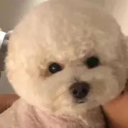ょの画像
