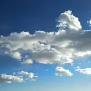 Ciero azulの画像