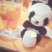 ペジ☆の画像