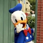 ドナルドの画像