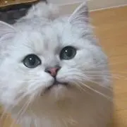 Mの画像