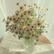 えみの画像
