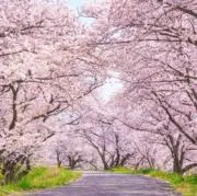 り【取引実績300件超高評価100件超】の画像