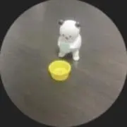 パンダの画像