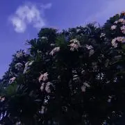 ゆんの画像