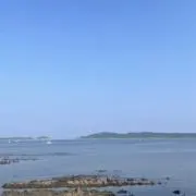 古着屋そた（300円オークション出品中）