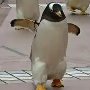 みずもっちーの画像