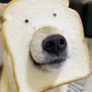 muiの画像
