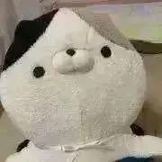 【プロフご確認ください！】りんこの画像