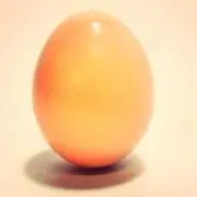 ま