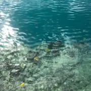 ひろぽんの画像