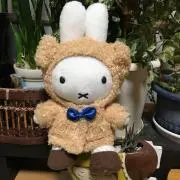 陽だまりの画像