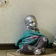 かひの画像