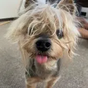 cocohugの画像