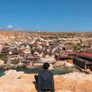 のこのこの画像