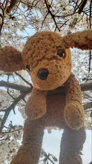 marimariの画像