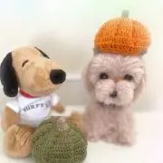 キャラメル