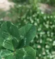 きーいろ