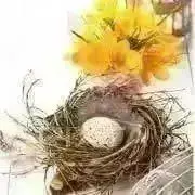 yellow brown1。の画像