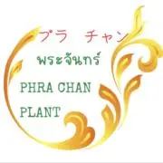 PHRA   CHAN   PLANTの画像