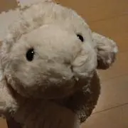 ひつじの画像