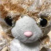 バス