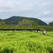 パプリカの画像