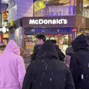 てちの画像