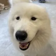 みずきの画像
