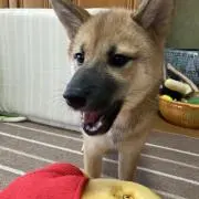 TMTMTMの画像
