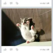 まあ