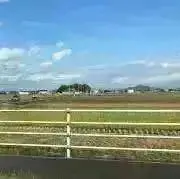 runaの画像