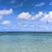 ストレージ15の画像