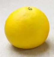 ぶんたんの画像