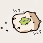 かずくん