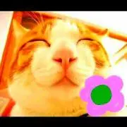 ❁ロミヒ❁のお店～♪