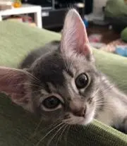 みーちゃん