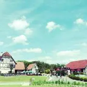 lim***の画像