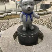 YNの画像