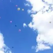 rymamaの画像