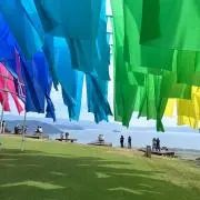 ブルーナの画像