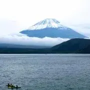タカ