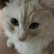 ゆう