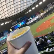 ONODYの画像