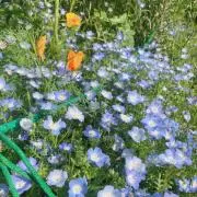 せいちゃんの画像