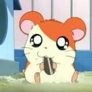 こまの画像