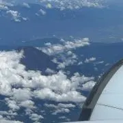 さこの画像