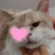 みー