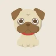 マル【即日発送】の画像