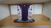 omoideushirosugataの画像